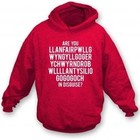 Are You Llanfairpwllgwyngyll In Disguise? (Wrexham) Hooded Sweatshirt