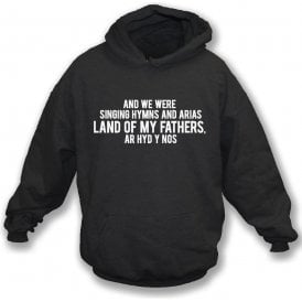 Hymns And Arias (Swansea) Kids Hooded Sweatshirt