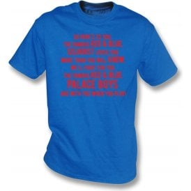 So Here's To You The Famous Red & Blue T-Shirt (Crystal Palace)