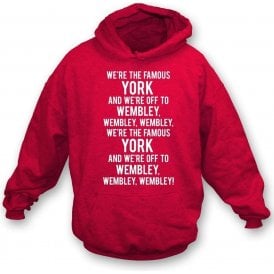 We're The Famous York Kids Hooded Sweatshirt