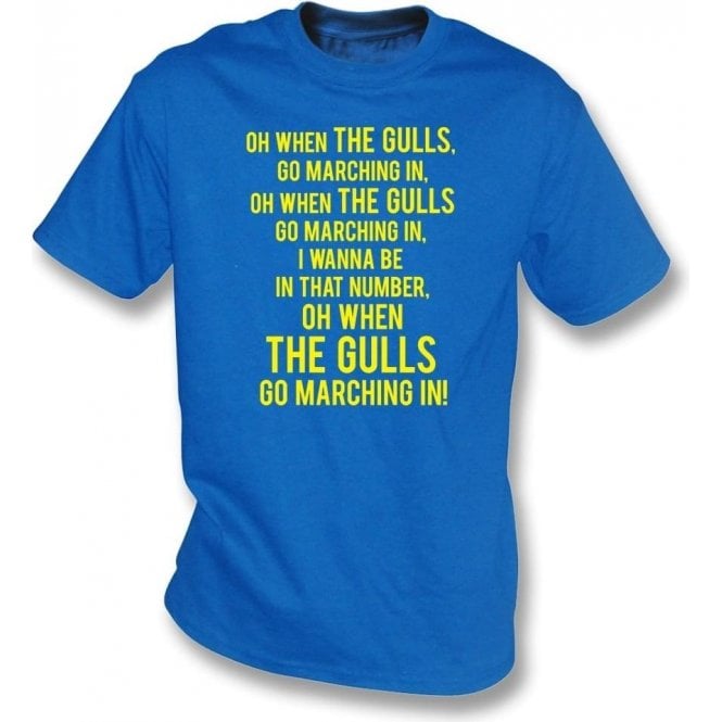 When The Gulls Go Marching In (Torquay United) Kids T-Shirt